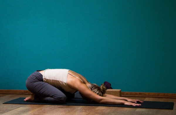 shiva shakti shcentro yoga pamplona invierno