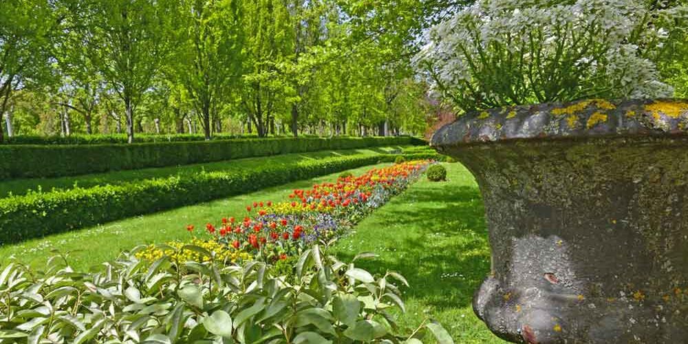 jardines-pamplona-practicar-yoga jardines pamplona practicar yoga