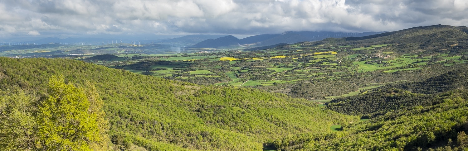 paisaje con un valle verde