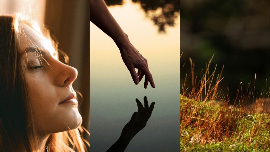 Curso de Meditación Respiración y Relajación (Sitio web)