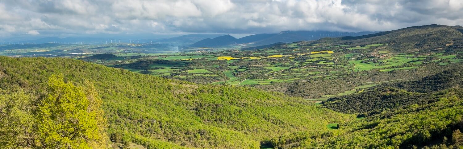 paisaje con un valle verde